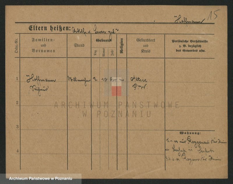 Obraz 15 z jednostki "Hofman (samotni mężczyźni)"