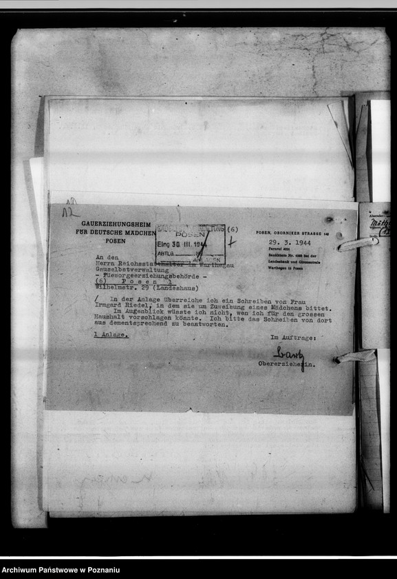 Obraz 16 z jednostki "Anträge auf Überweisung von Fürsorgezöglingen in den Dienst."