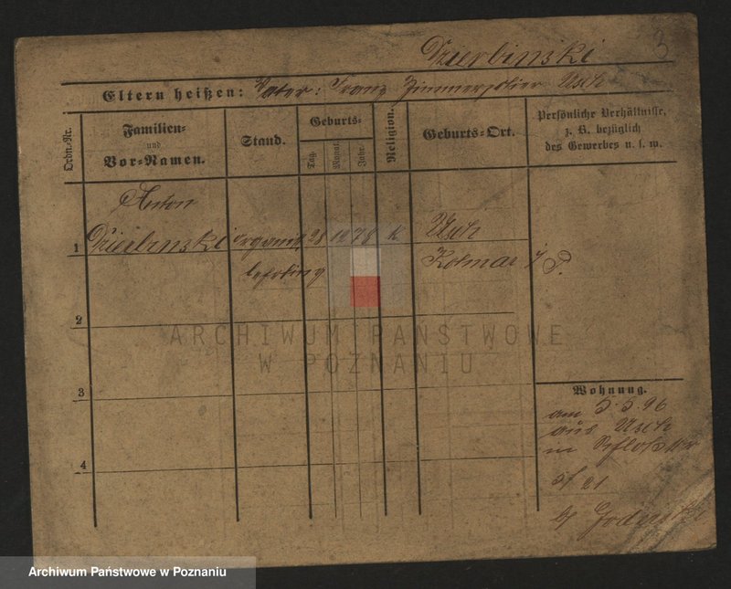 Obraz 5 z jednostki "Dzierbicka - Dzikiewicz"
