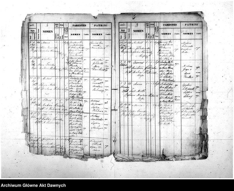 image.from.unit.number "Parafia: różne. Dekanat: różne. Fragmenty akt różnych parafii archidiecezji lwowskiej: 1. Gródek Jagielloński (dek. Gródek) - fragment (prawdopodobnie ekstrakt) księgi urodzeń z lat 1862-1863, 9 s.; 2. Kobylnica/Fehlbach (dek. Lubaczów) - fragment (prawdopodobnie ekstrakt) księgi urodzeń z lat 1901-1904, 1906-1908, 26 s.; 3. Martynów Nowy (dek. Dolina) - fragment księgi zgonów 1871, 1873, 5 s.; 4. Nadwórna (dek. Stanisławów) - fragment księgi urodzeń 1890, 9 s.; 5. Podhajce (dek. Podhajce) - fragment księgi zgonów 1899, 8 s.; 6. Podhorce (dek. Brody) - fragment księgi ślubów 1899-1900, 7 s.; 7. Stanisławów (dek. Stanisławów) - fragment (ekstrakt) księgi zgonów 1876 (pośw. 1877), s. 20; 8. Św. Stanisław (dek. Stanisławów) - fragment (ekstrakt) księgi urodzeń 1929, 2 s.; 9. Tyśmienica (dek. Stanisławów) - fragment księgi zgonów 1876, 2 s.; 10. Załoźce (dek. Brody) - fragment księgi ślubów, lata osiemdziesiąte XIX w., szczątek, 2 s.; 11. Śniatyn (dek. Horodenka) - fragment księgi urodzeń 1882, szczątek 2 s.; 12. Zawałów (dek. Skałat) - fragment (ekstrakt) księgi zgonów 1914, 3 s.; 13. Złotniki (dek. Podhajce) - fragment księgi zgonów 1891, 1 s.."