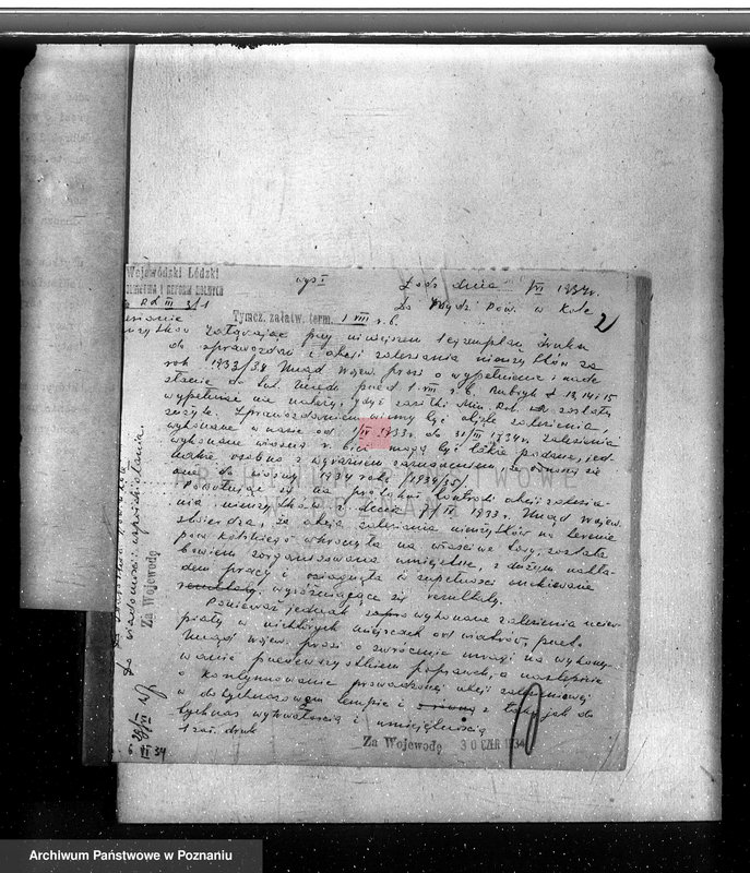 Obraz 6 z jednostki "Zalesienie nieużytków w powiecie kolskim"