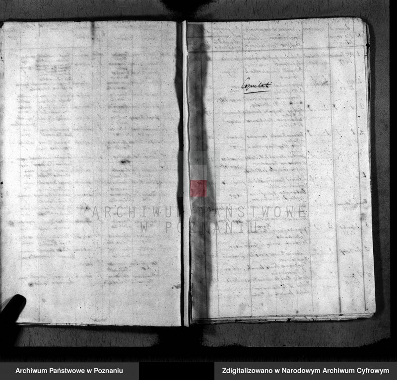 Obraz 9 z jednostki "Duplikat baptisatorum, copulatorum, mortuorum"