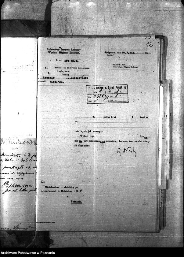 Obraz 15 z jednostki "Nosacizna - Leszno"