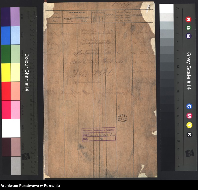 Obraz 3 z jednostki "Duplicat mortuorum"