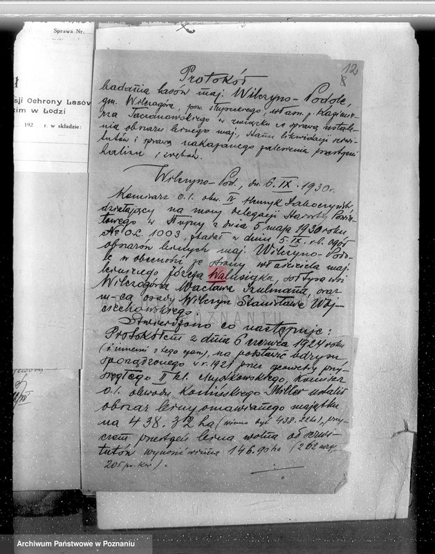 Obraz 17 z jednostki "Ustalenie powierzchni leśnej majątku Wilczyno-Podole powiat słupecki oraz nieprawne wyręby lasu"