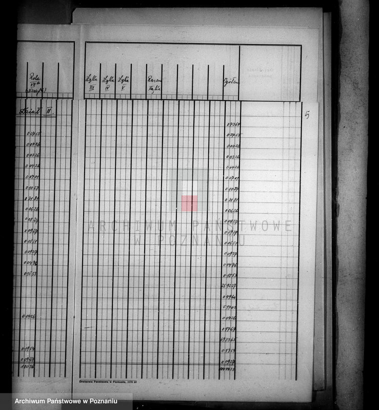 Obraz 9 z jednostki "Tymczasowy rejestr pomiarowy majątku Wyrza powiatu wyrzyskiego"