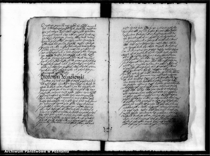 Obraz 16 z jednostki "Inscriptiones, relationes [inducta]"