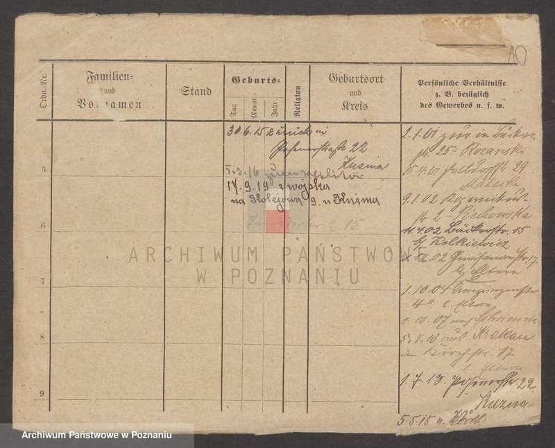 Obraz 10 z jednostki "Majchrzakowski - Majkowski"