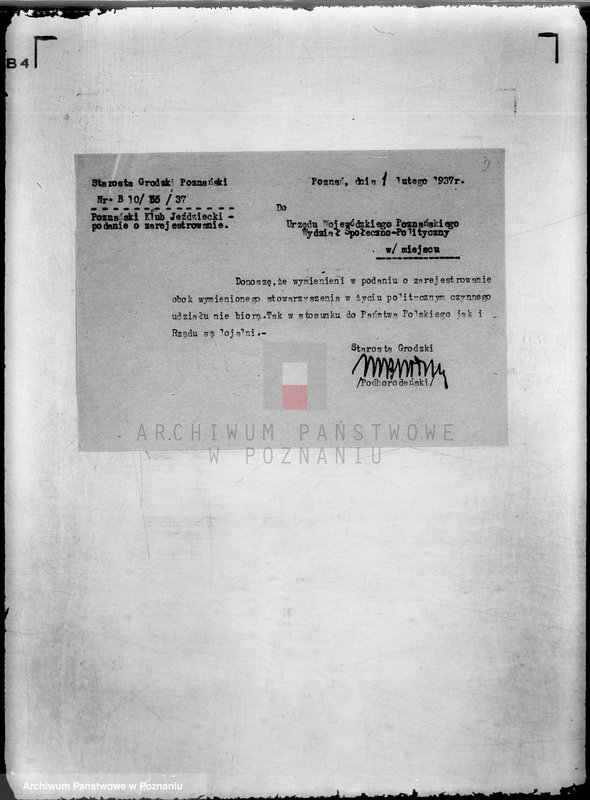 Obraz 7 z jednostki "/Poznański Klub Jeździecki w Poznaniu/"