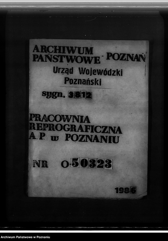 Obraz 16 z jednostki "Program gospodarczy dla lasu J. Kajewskiego w gminie Wiórek powiat poznański 1929-1939"