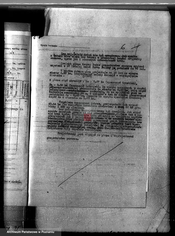 Obraz 10 z jednostki "Las majętność Śniaty powiat kościański"