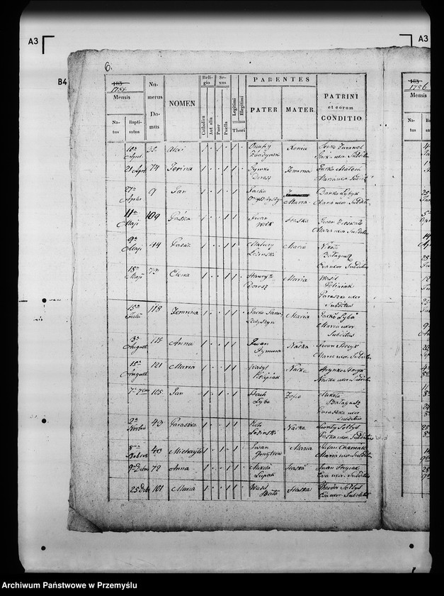 Obraz 10 z jednostki "[Kopie ksiąg metrykalnych parafii Tuczapy z filią Zbadyn (dekanat Jaworów)]"