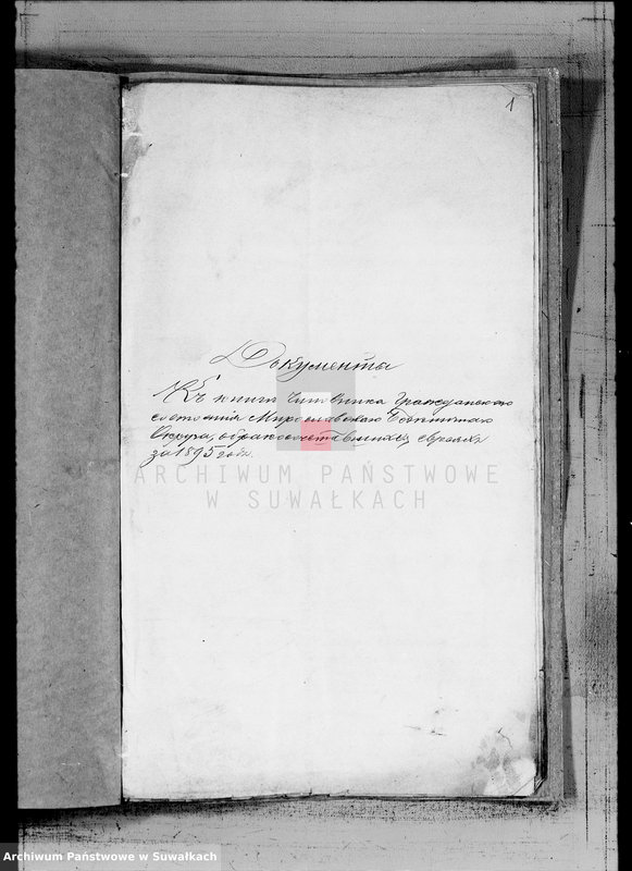 image.from.unit "Dokumenty k knige činovnika graždanskogo sostojanija Miroslavskogo Božničnogo Okruga, o brakosočetavšichsja evrejach za 1895 god"