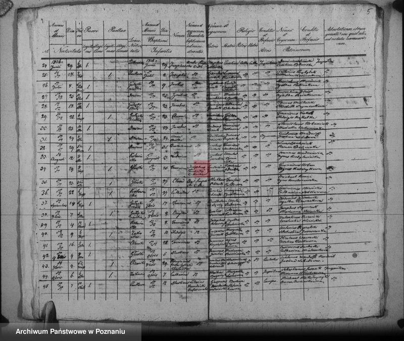 image.from.unit.number "Duplikat urodzonych, ślubów i zgonów"
