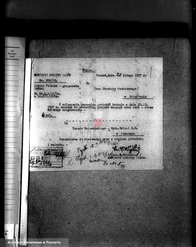 image.from.unit.number "Las Dębowy Folwark powiat wolsztyński"