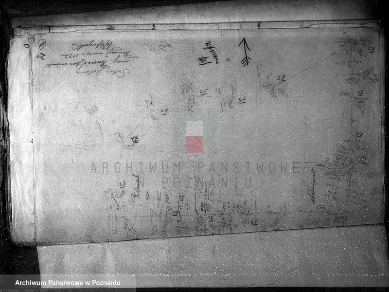 Obraz 6 z jednostki "Mapy majątku Rusiec w powiecie żnińskim"