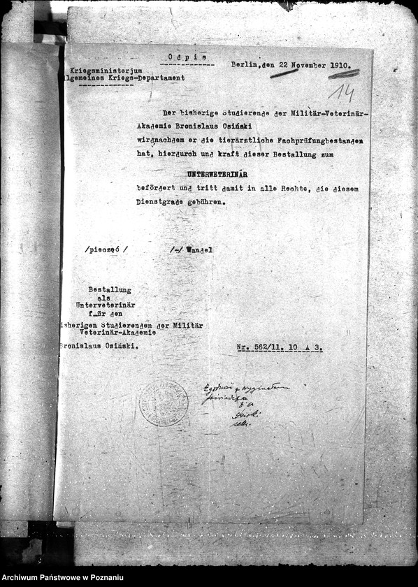 Obraz 18 z jednostki "Pow. lekarz Weterynaryjny Tuchola"