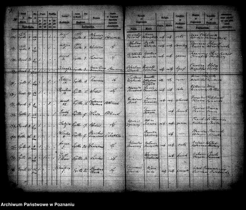 Obraz 17 z jednostki "Księga urodzin"