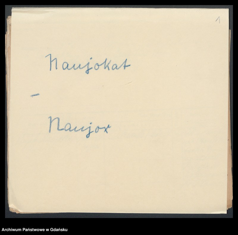 image.from.unit.number "Karty meldunkowe: Naujokat - Nebel"