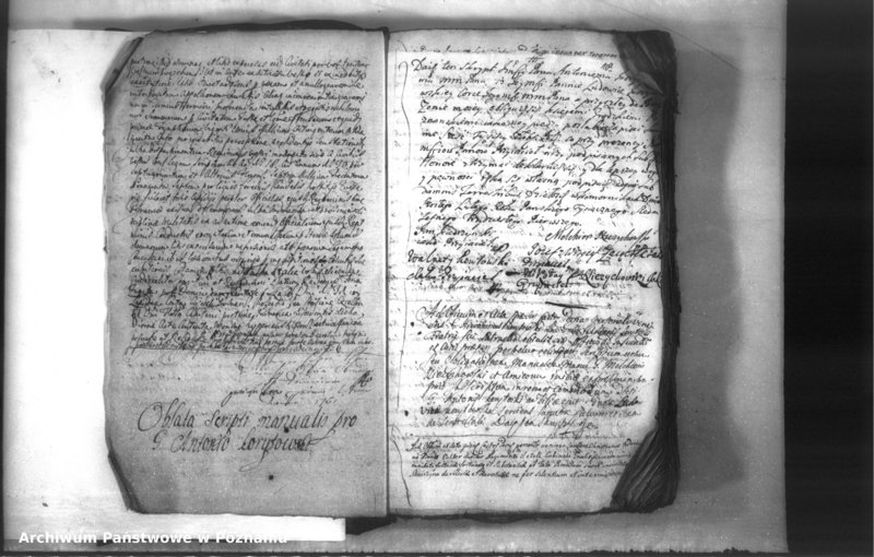 Obraz 13 z jednostki "Relationes [protocollon]"