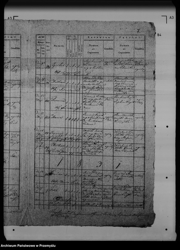 Obraz 11 z jednostki "[Kopie ksiąg metrykalnych parafii Rudki (dekanat Rudki)]"