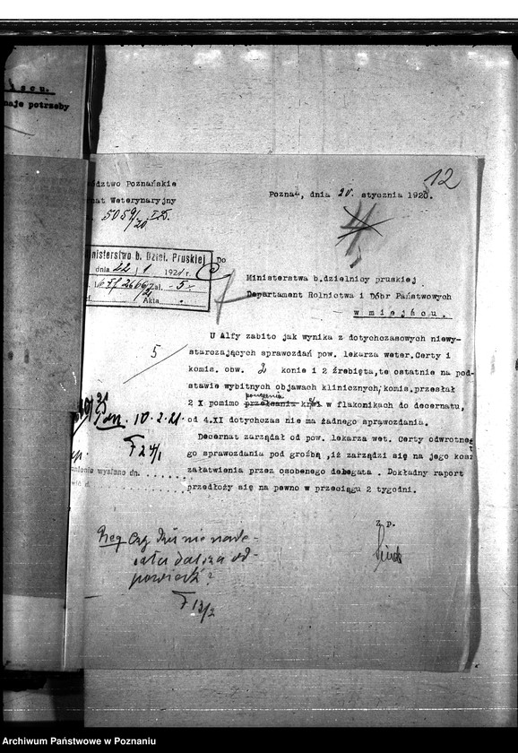 Obraz 16 z jednostki "Nosacizna - Wyrzysk"