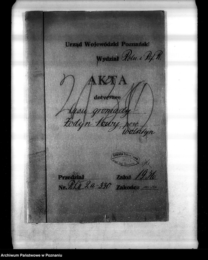 Obraz 4 z jednostki "Las gromady Żodyń Nowy powiat wolsztyński"