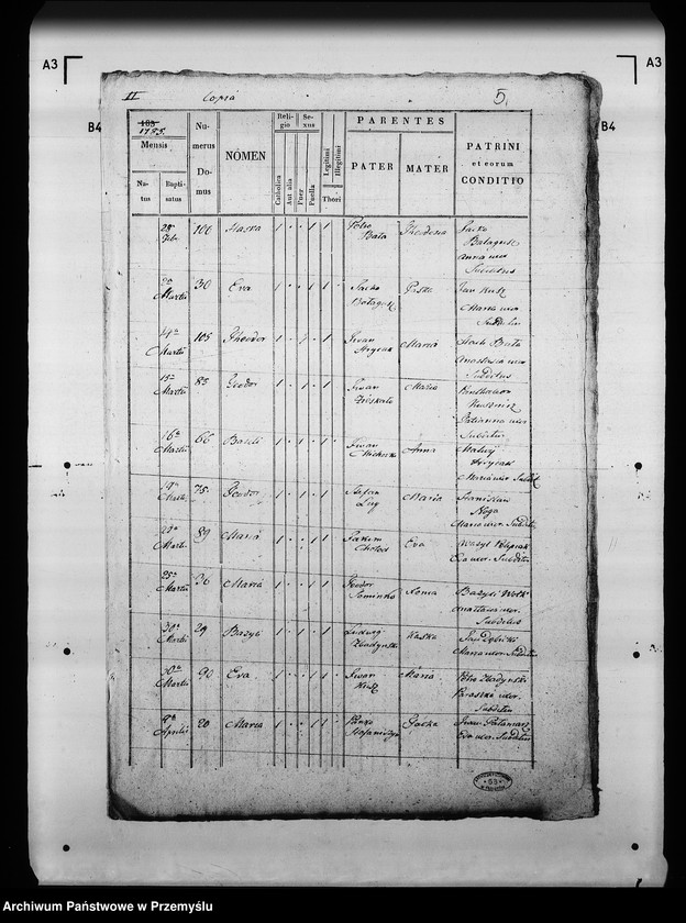 Obraz 9 z jednostki "[Kopie ksiąg metrykalnych parafii Tuczapy z filią Zbadyn (dekanat Jaworów)]"