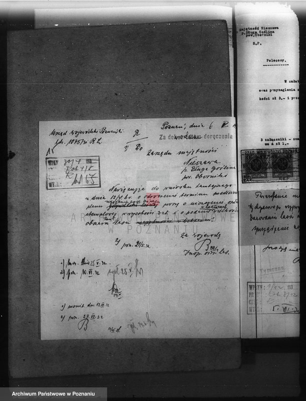 Obraz 19 z jednostki "Nadzór nad gospodarką w lasach majętności Nieszawa powiat obornicki"