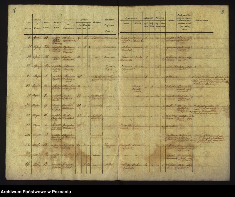 Obraz 7 z jednostki "Księga zgonów"