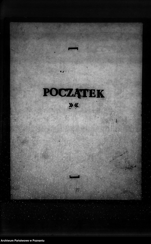 Obraz 3 z jednostki "Zalesienie nieużytków w powiecie tureckim"