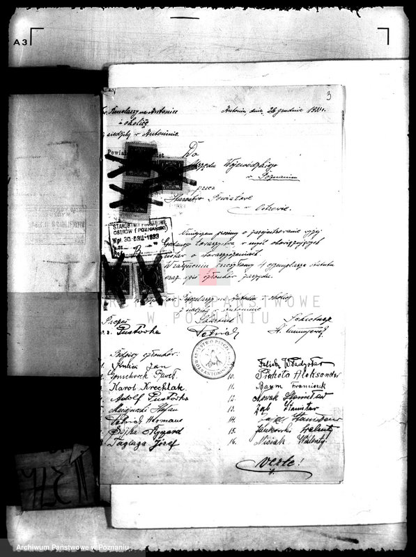 Obraz 9 z jednostki "Towarzystwo Pszczelarzy w Antoninie powiatu ostrowskiego"