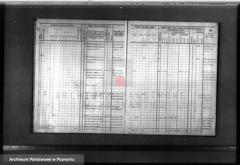 image.from.unit.number "Plan urządzenia gospodarstwa leśnego dla lasu majątku Lubosz powiatu międzychodzkiego 1936-1946"