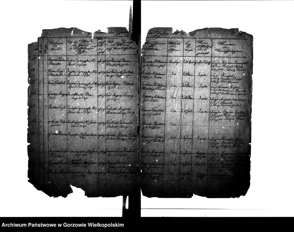 image.from.unit.number "Duplikate der Kirchenbücher von der Parochie Altensorge: Altensorge (Glinik), Blockwinkel (Bolemin), Plonitz (Płonica), Hagen (Dziersławice), Bürgerbruch (Białobłocie), Kattenhorst (Orzelec), Liebenthal (Kołomęt), Schönewald (Krasowiec)"