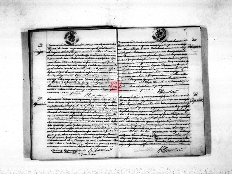 image.from.unit.number "Duplikat aktov rodivšichsja, umeršich i brakosočetavšichsja vejsejskogo rimsko-katoličeskogo prichoda na 1876 god"