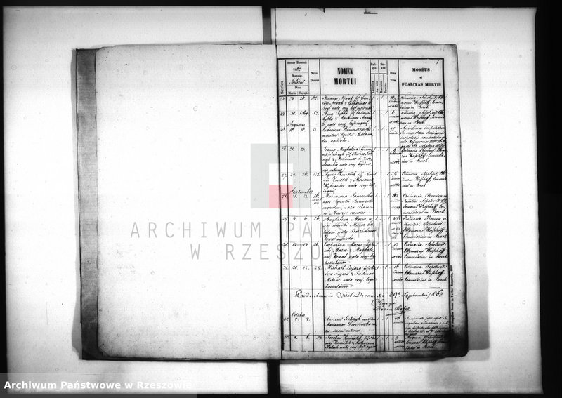 image.from.unit.number "Księga zgonów - Borek Nowy"