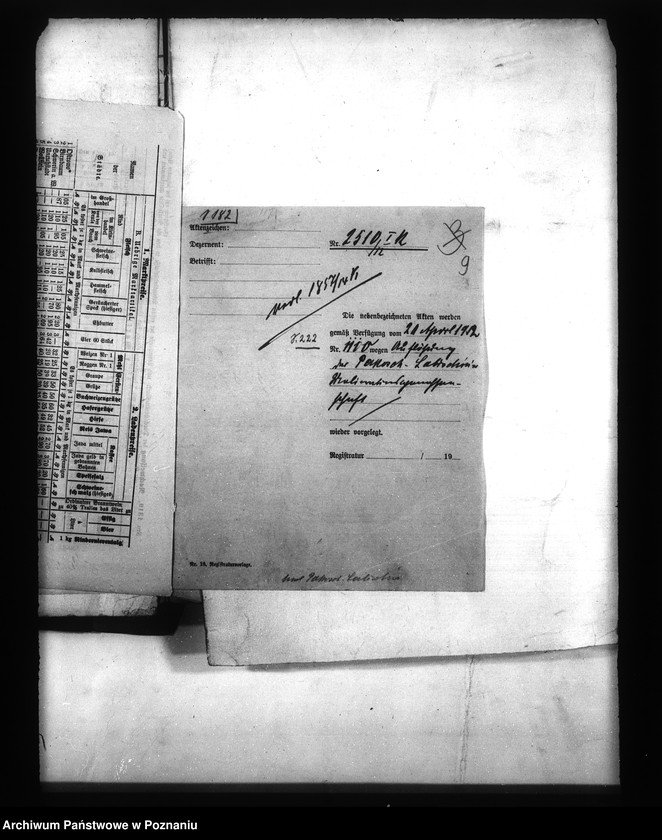 Obraz 12 z jednostki "Bildung der Draenage-Genossenschaft in Schroda im Kreise Schroda"