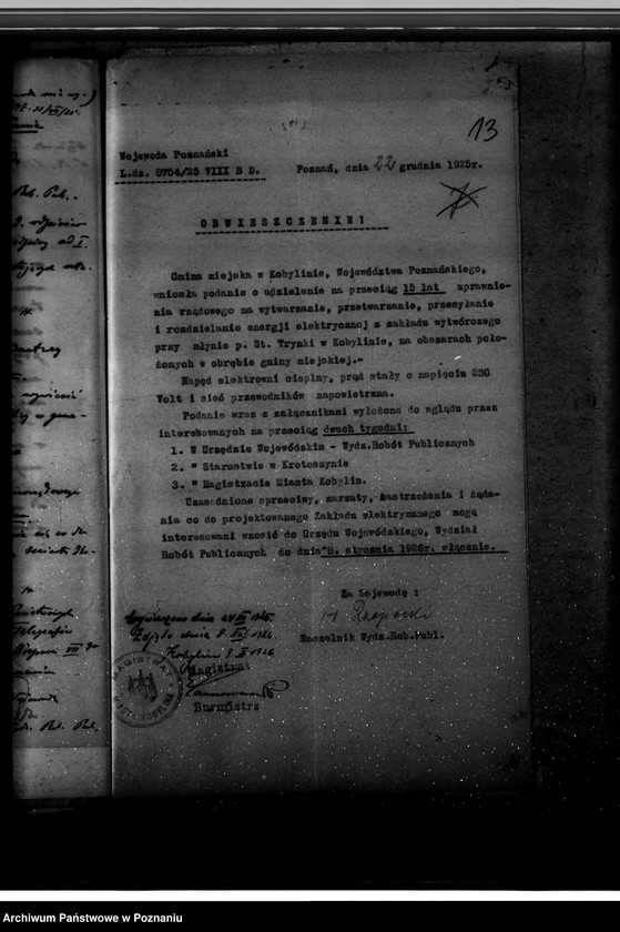 Obraz 17 z jednostki "Elektrownia w Kobylinie"