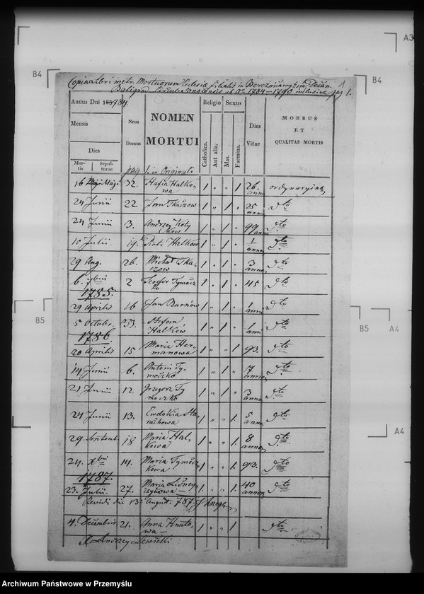 image.from.unit.number "[Kopie ksiąg metrykalnych parafii Żernica Wyżna z filiami Żernica Niżna, Bereżnica Wyżna, Żerdenka (dekanat Baligród)]"