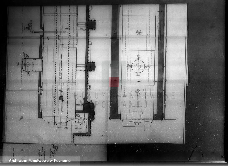 Obraz 13 z jednostki "Firma "Akwawit" S.A. Poznaniu"