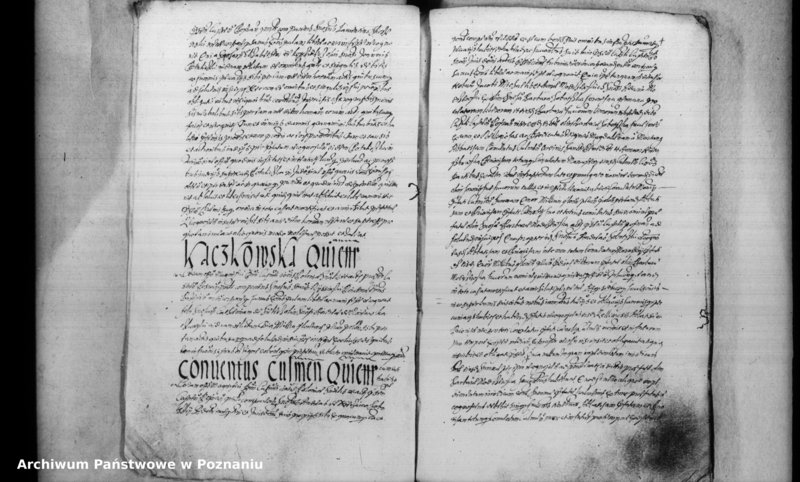 Obraz 7 z jednostki "Inscriptiones [inducta]"