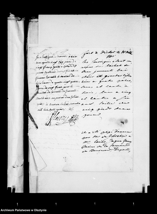 image.from.unit.number "/Hippologisches II. Korrespondenz betr. Pferde/"
