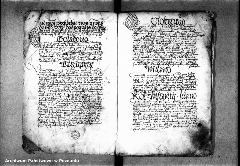 Obraz 5 z jednostki "Inscriptiones, relationes, decreta [inducta]"