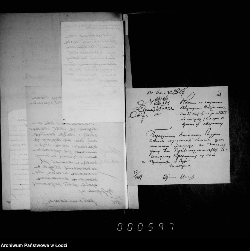 Obraz 19 z jednostki "O porubkach i kraže derevev v gorodskich gorodskich lesach"