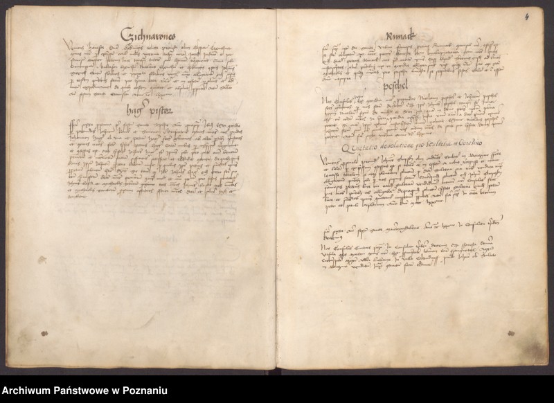 Obraz 7 z jednostki "Liber actuum et mandatuum ...consulum Liber ab anno 70 ad 94-tum."