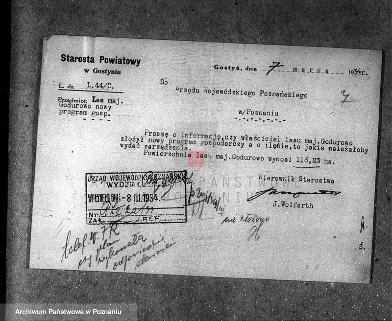 Obraz 11 z jednostki "Majętność leśna Godurowo w powiecie gostyńskim"