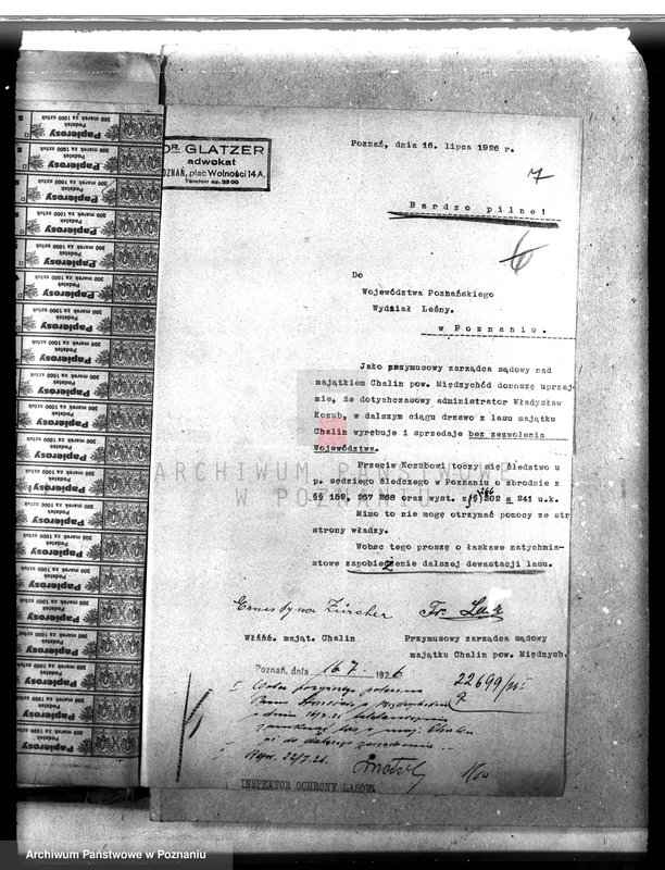 Obraz 11 z jednostki "Majętność leśna Chalin powiat międzychodzki"