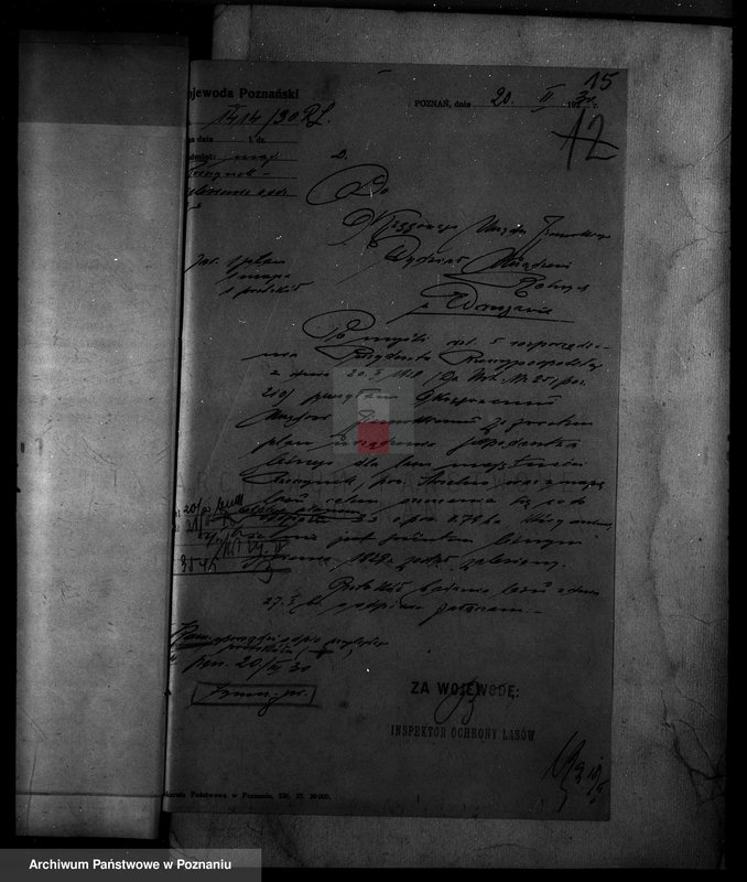 Obraz 20 z jednostki "/Majętność leśna Rzeszynek powiat mogileński"