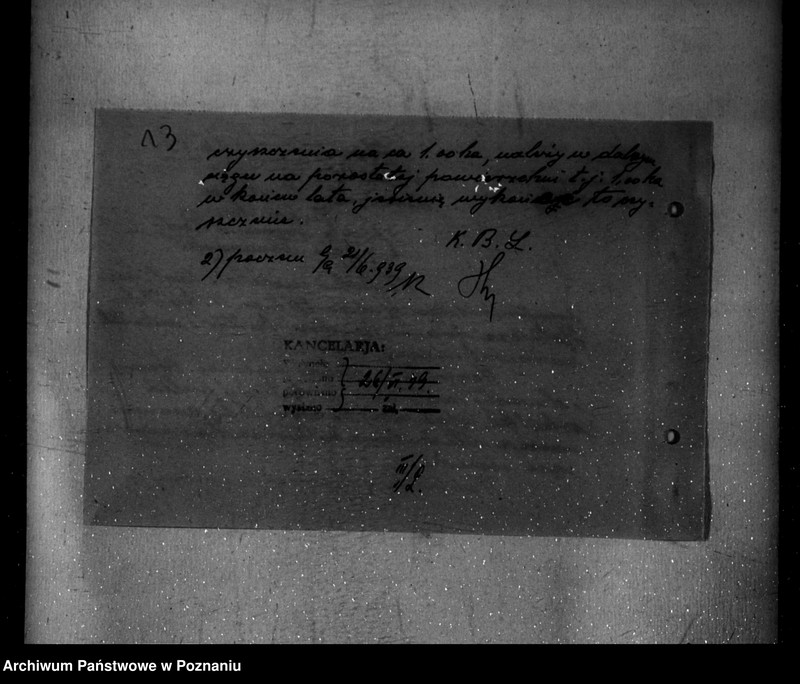 Obraz 17 z jednostki "Nadzór nad gospodarką w lasach majętności Lusówko powiatu poznańskiego"