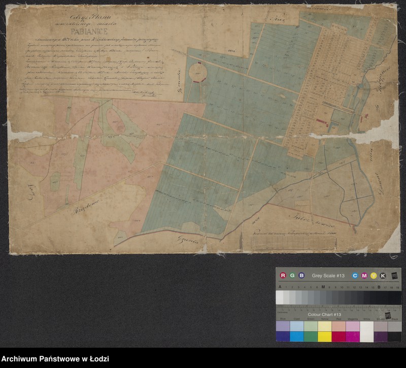 Obraz 1 z jednostki "Odrys planu nowozałożonego miasta Pabianice"